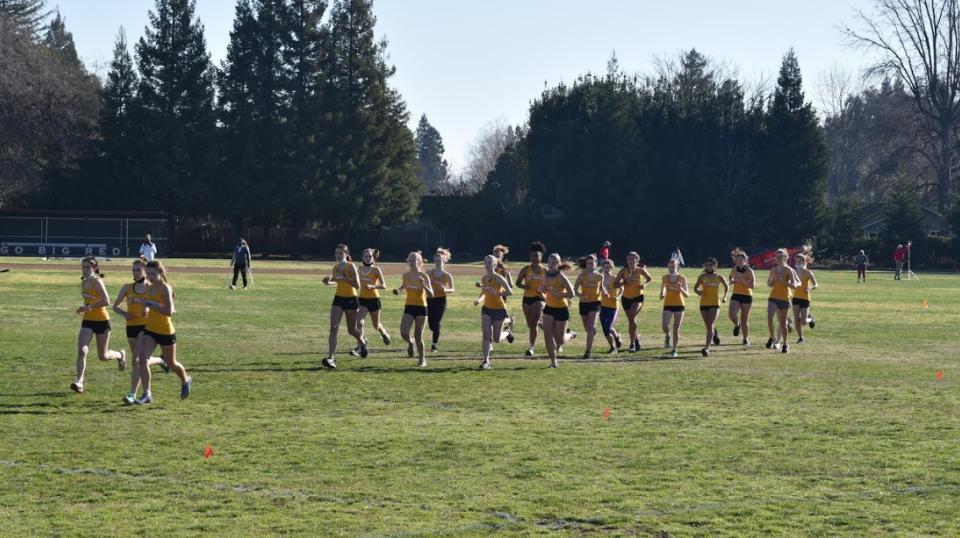 Cross Country to begin optional workouts June 21