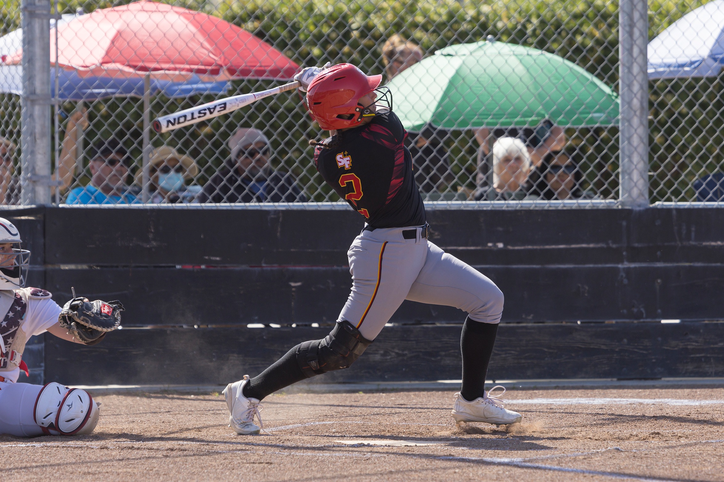 Softball season ends in section semifinal
