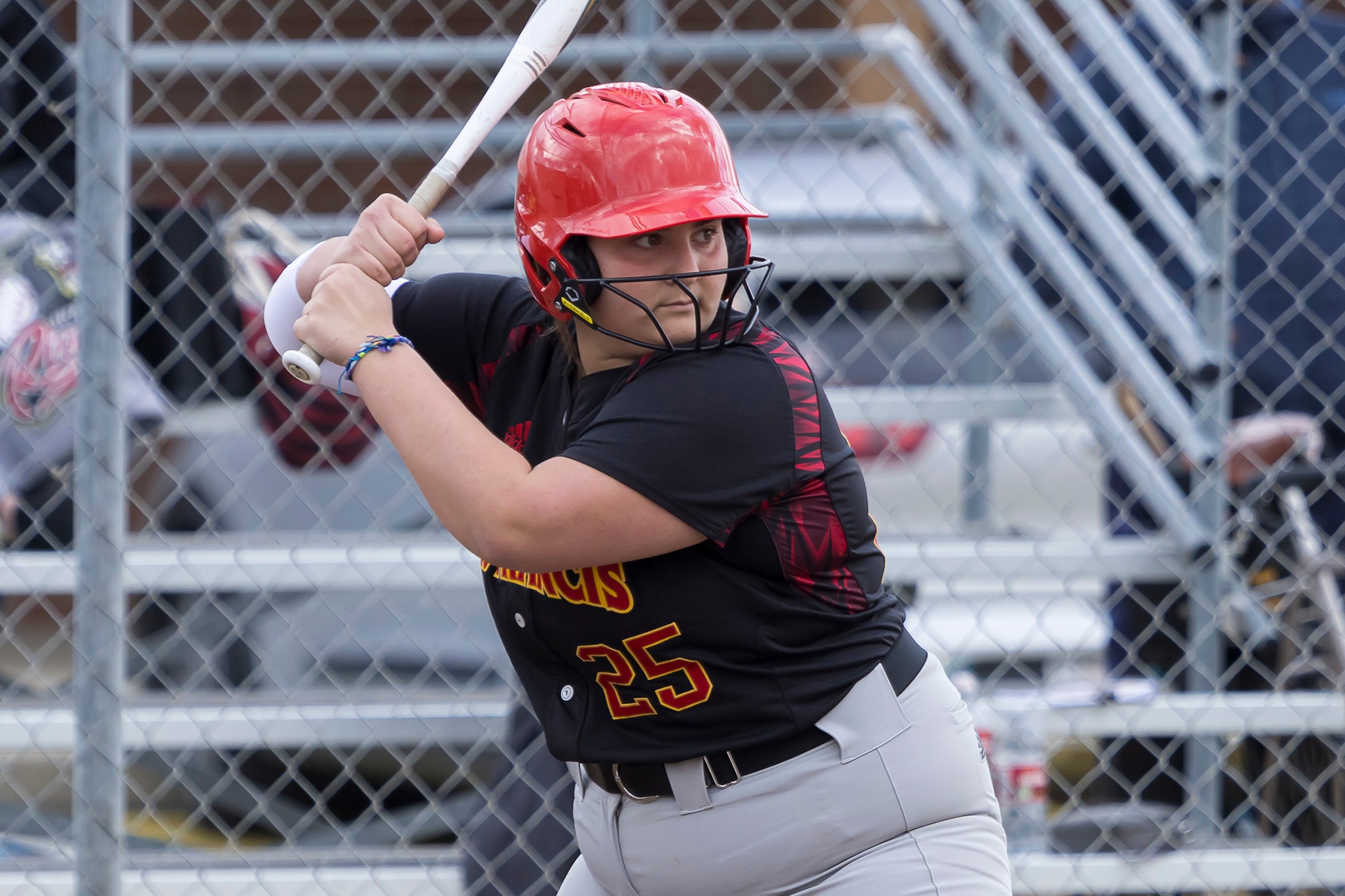 St. Francis outslugs Sheldon in JV road victory