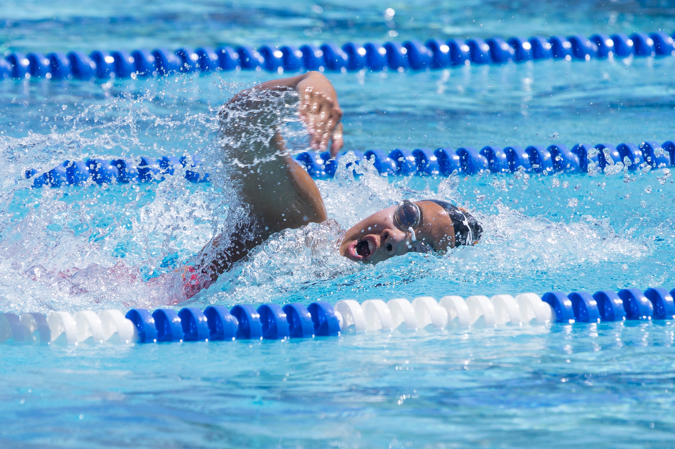 St. Francis finishes 13th at state championships