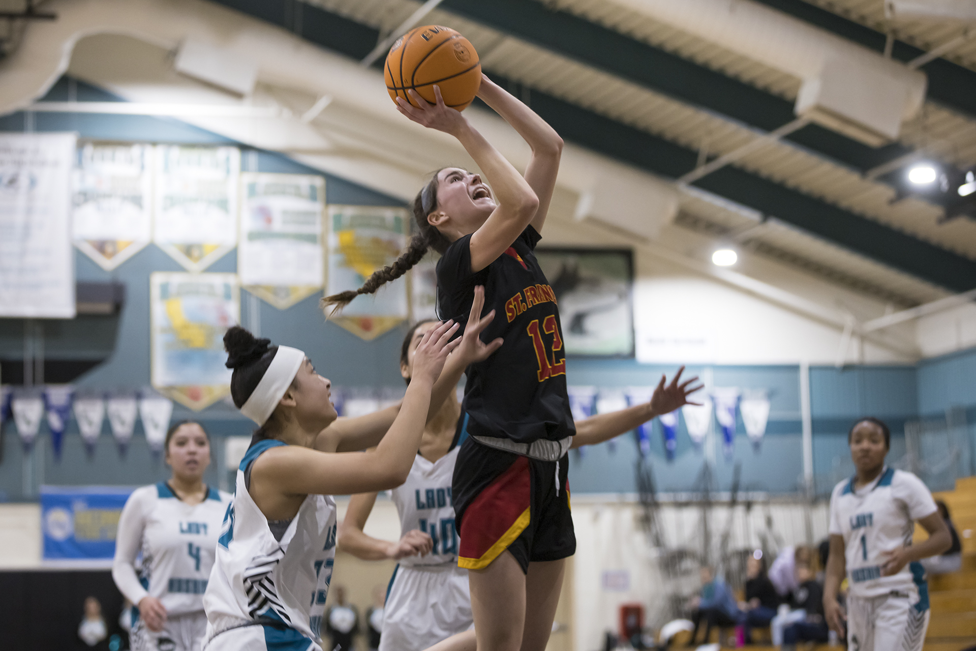 St. Francis sweeps Sheldon in hoop doubleheader