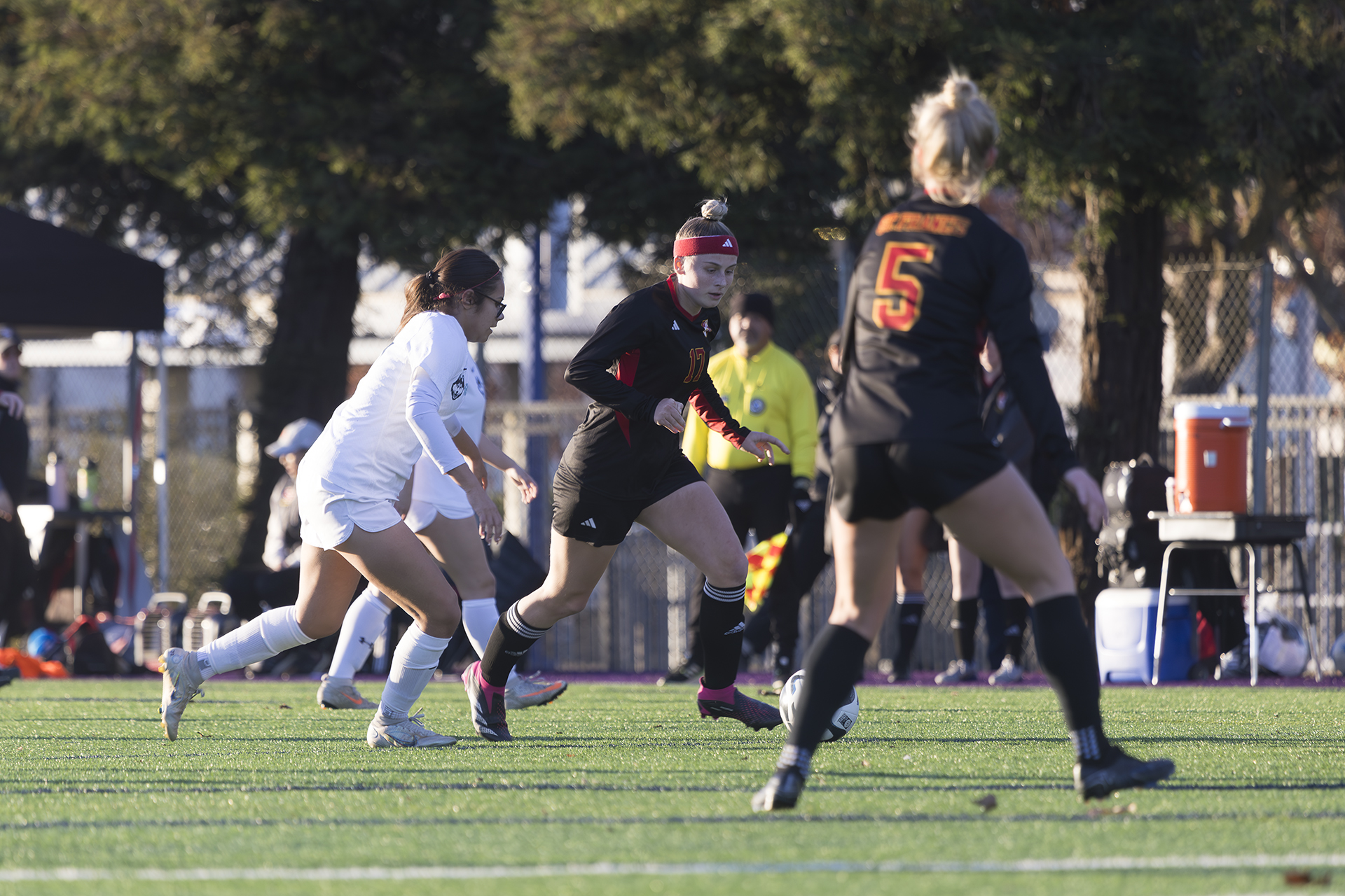 St. Francis storms past Sheldon, 7-0