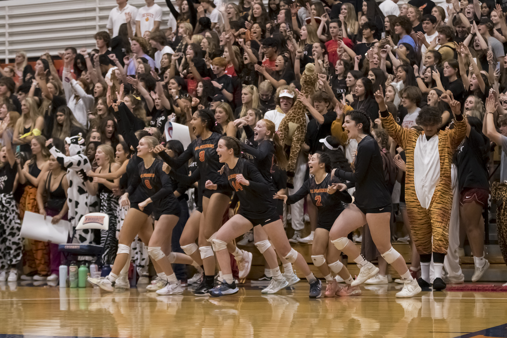 Troubies sweep Falcons in Holy Court rivalry match