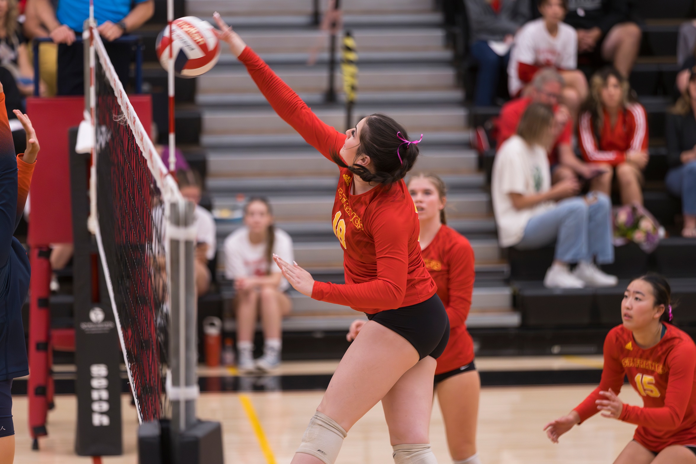 Zeff powers Troubies over Tigers in section opener