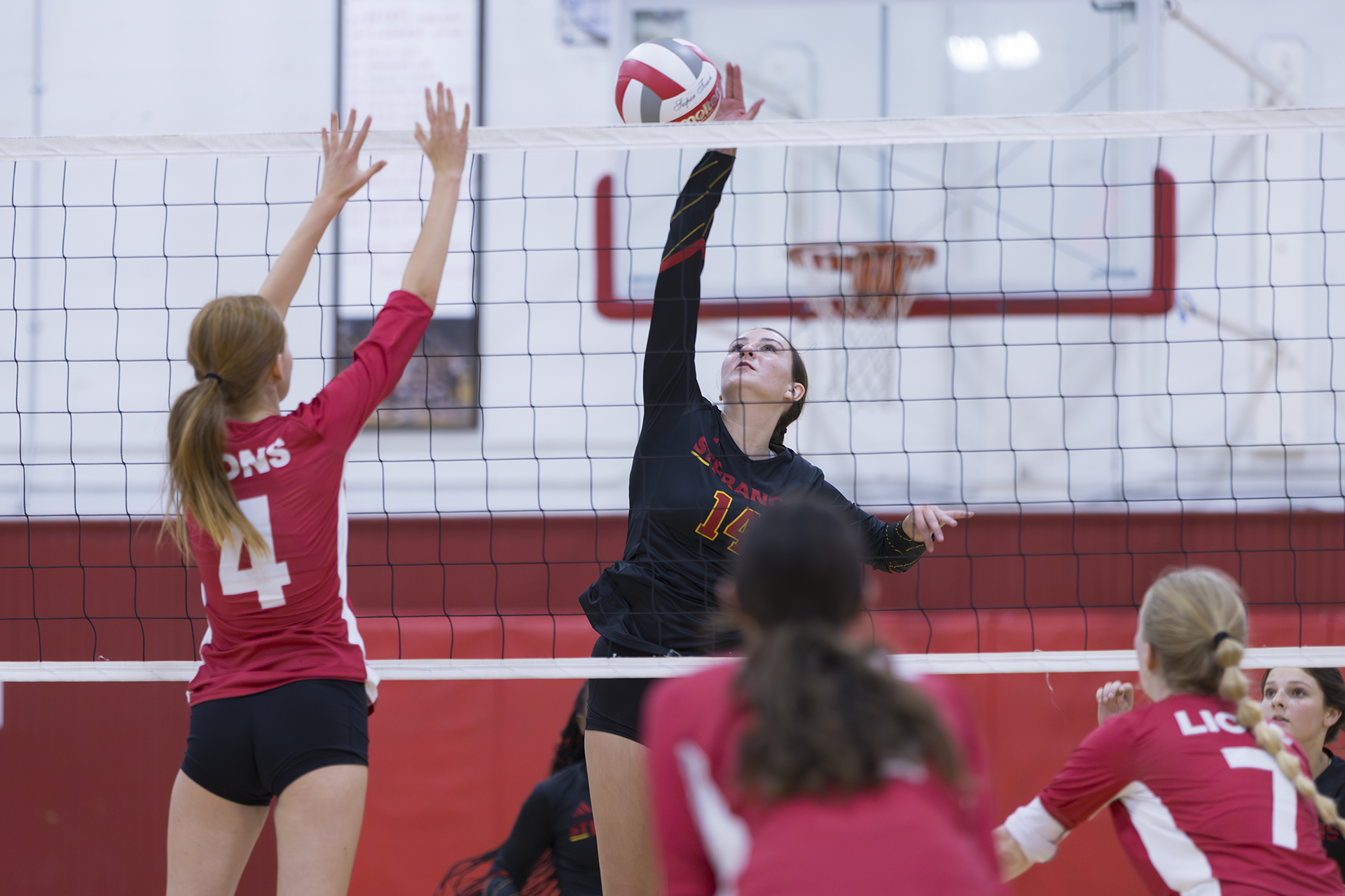 SF opens volleyball season with sweep of Lions