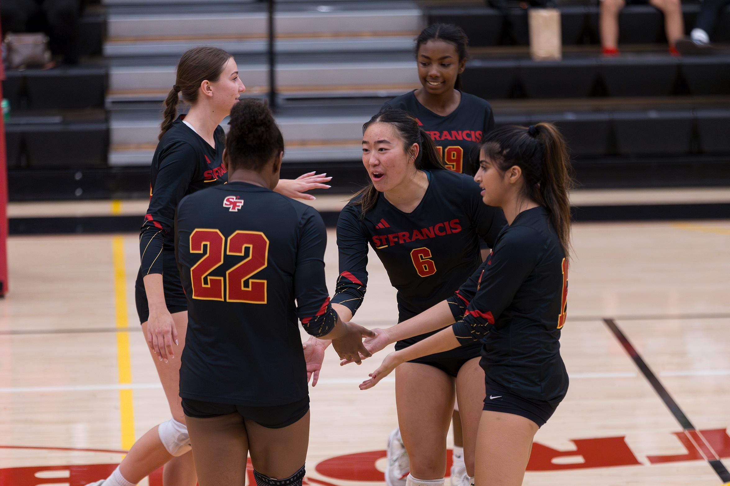 SF volleyball enjoys complete win over Wildcats