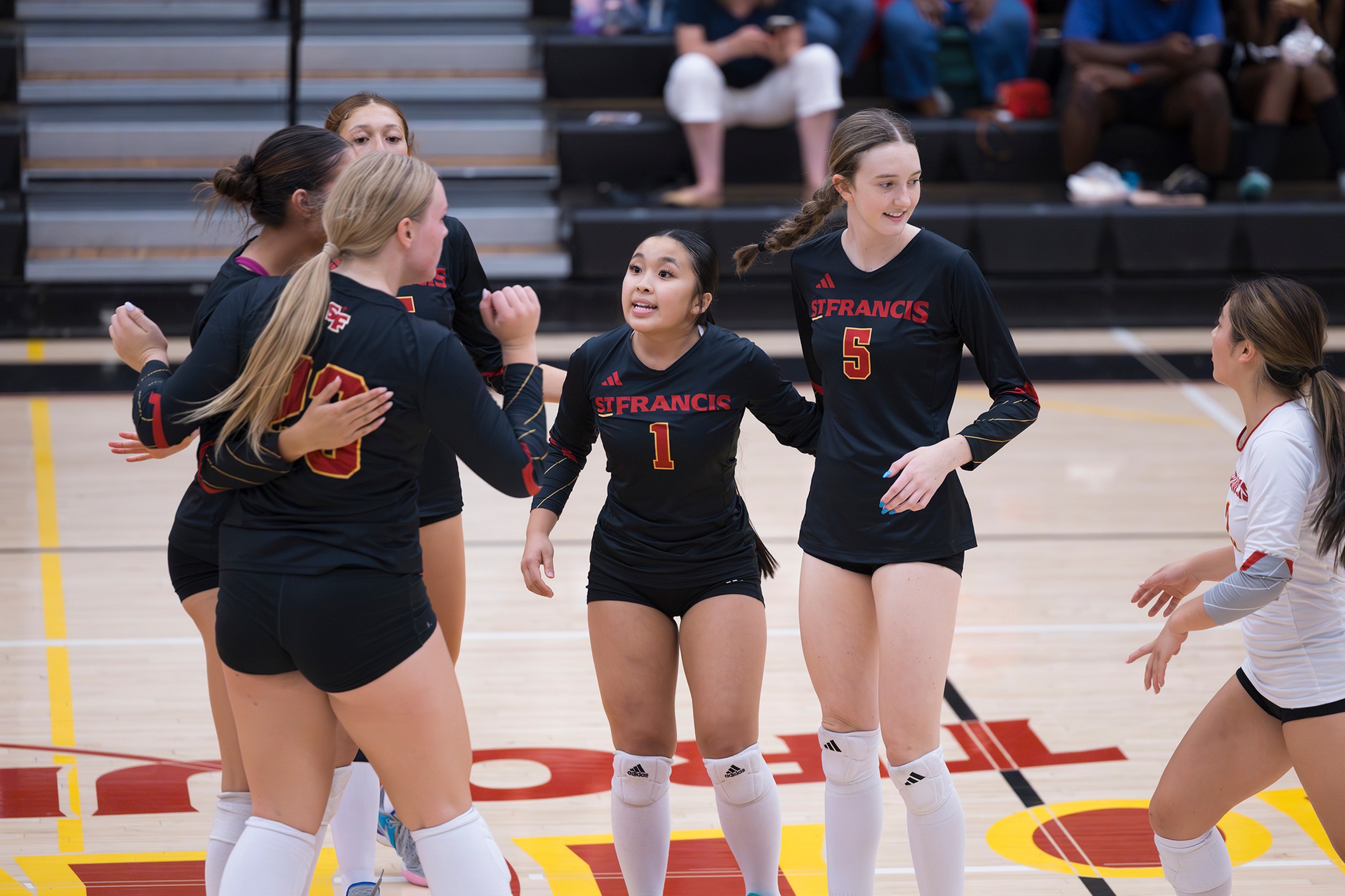 Volleyball rolls past Wildcats in straight sets