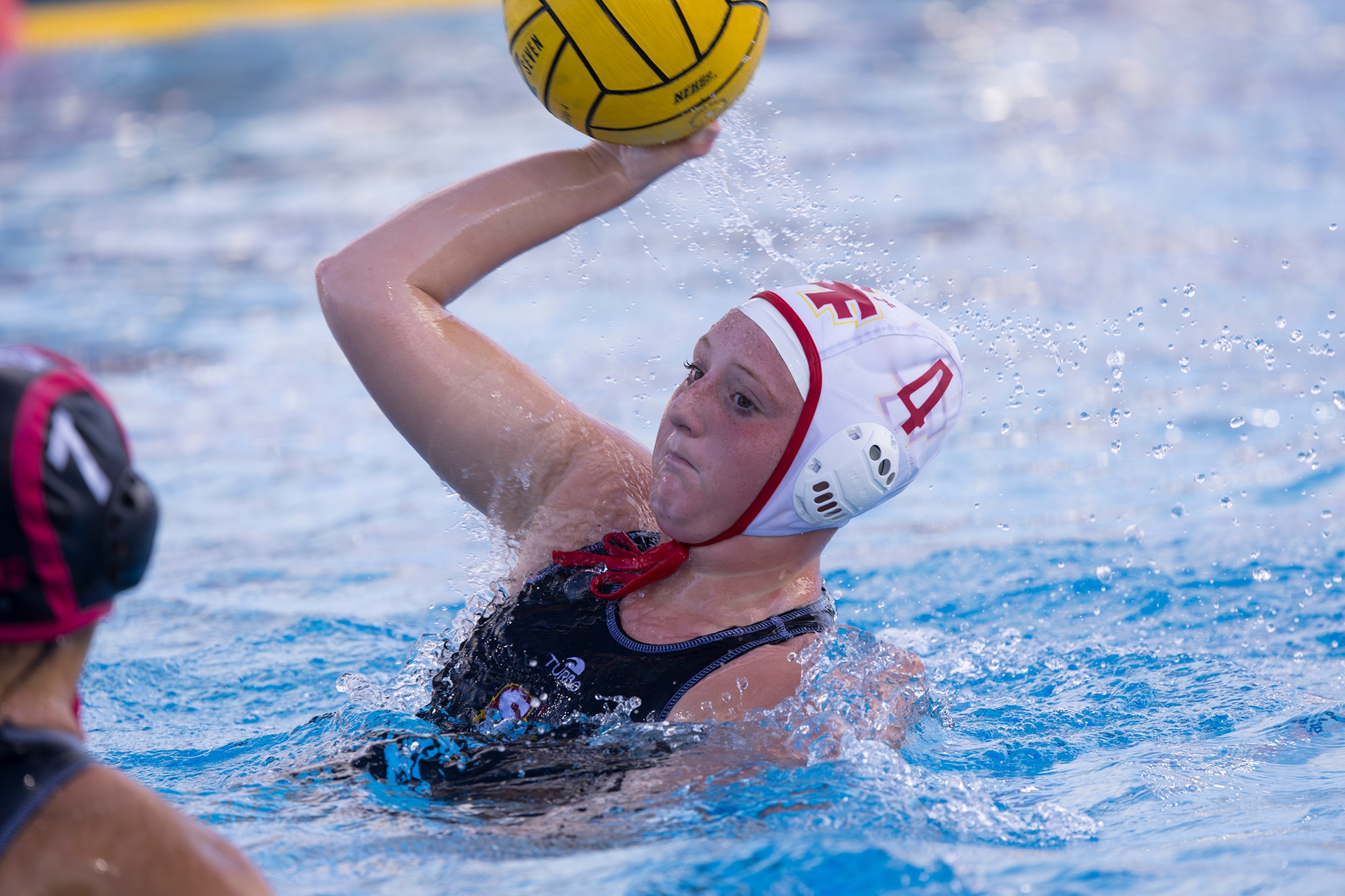 Troubie polo swept on visit to NorCal power