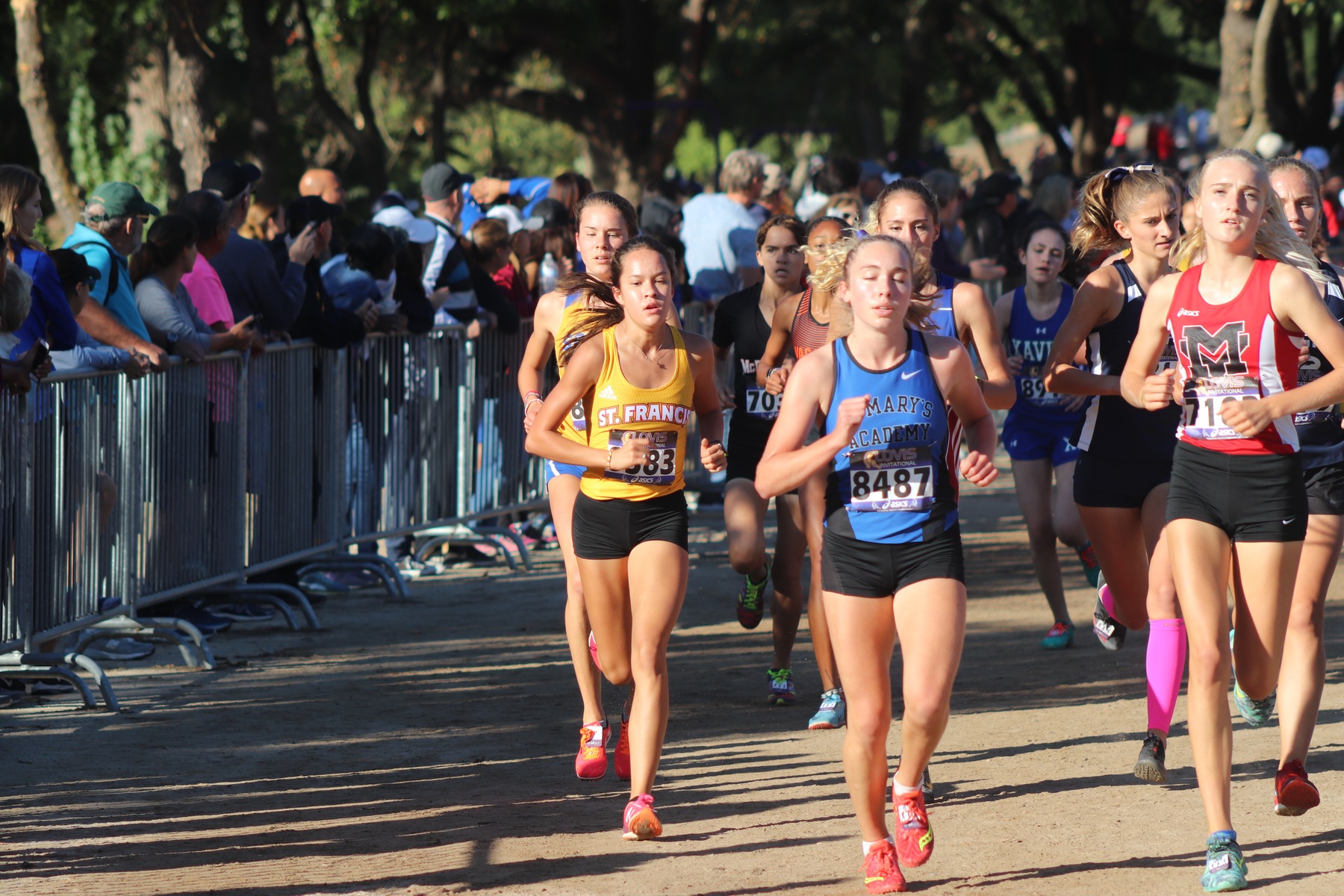 Cross Country&lsquo;s Fauria Named GoTroubies.com Athlete of the Week