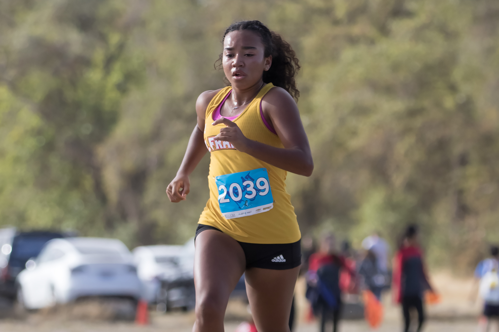 Hall, Vrilakas, Quigley lead SF at sub-sections