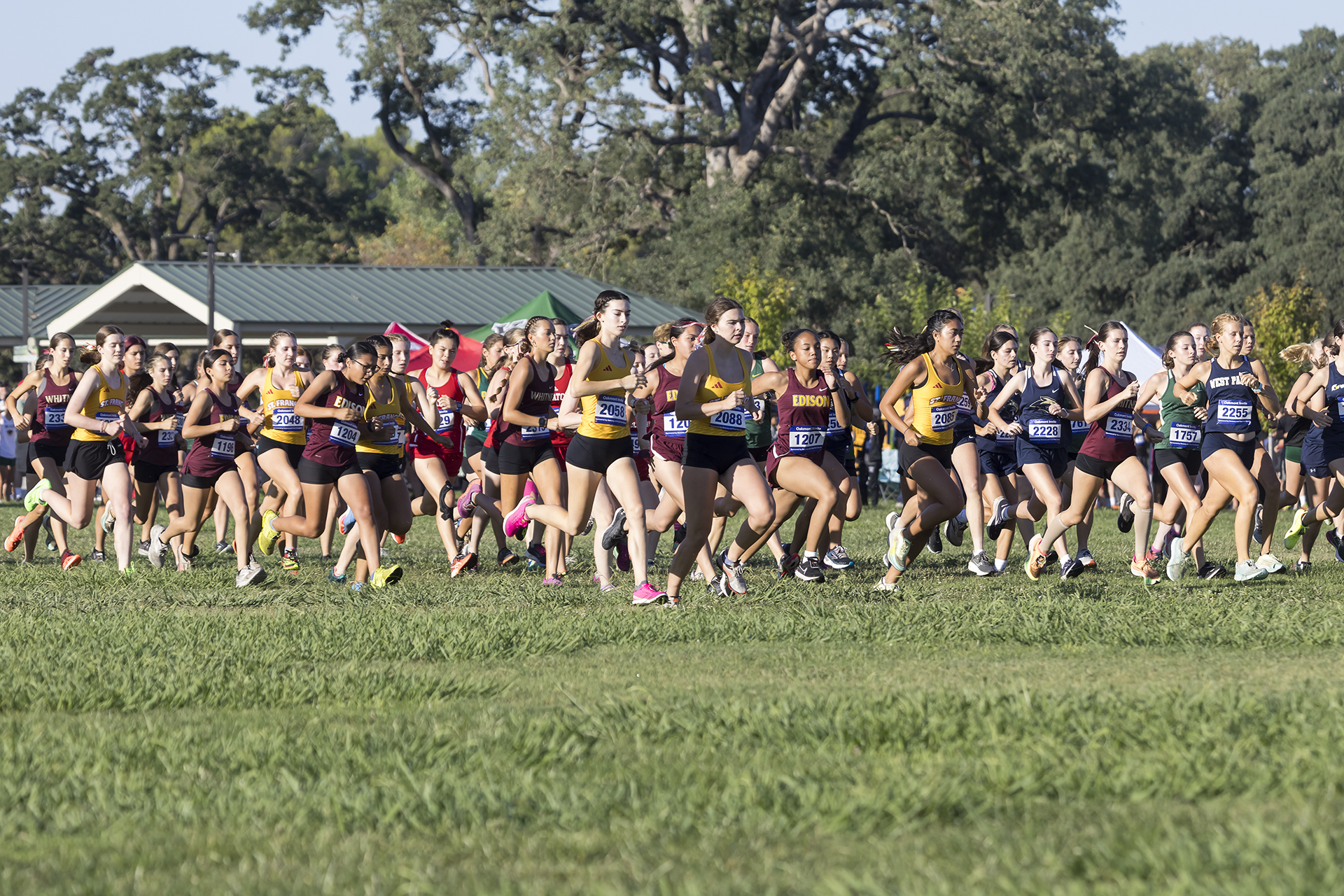 St. Francis runners up in all three races at Oakmont